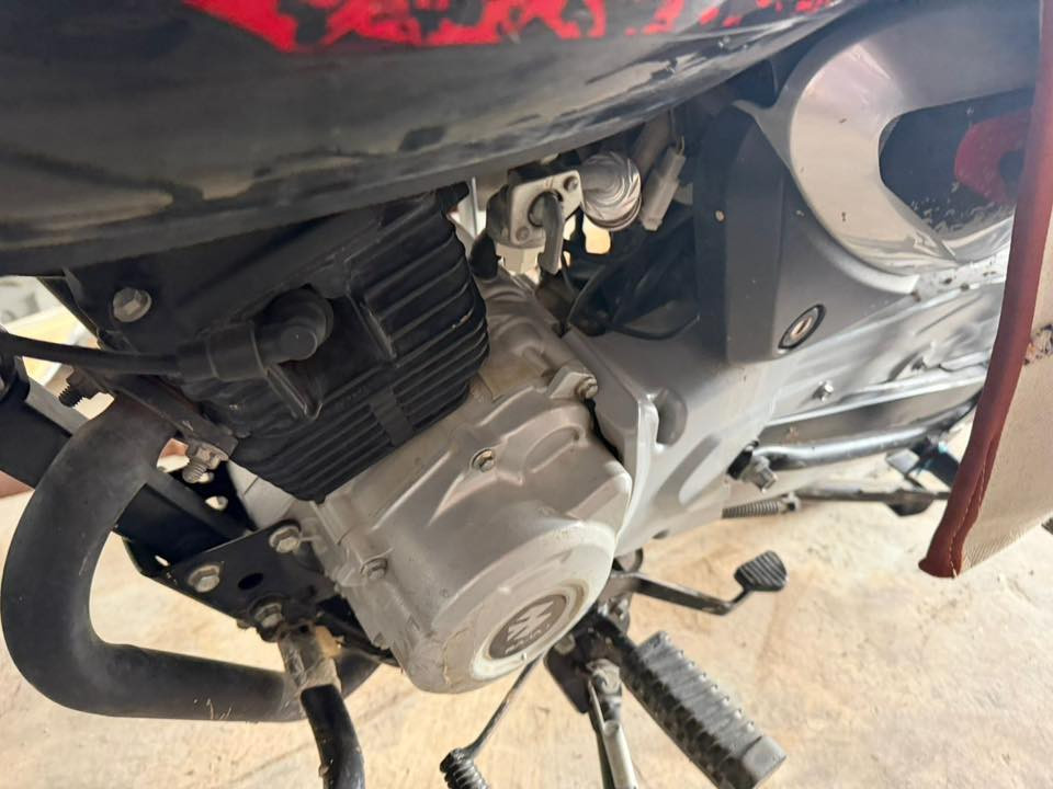 مكلف بالنشر غير متواجد على فيسبوك فقط وتساب ***********
للبيع بوكسر جبلي٢٣ جديد ماشي٦الف فقط
رقم بغداد بسم ولد من بغداد تروح تحول كبل بوجهك 

قفل سعر نهائي ٢٣٥٠ يعني ((مليونين و٣٥٠الف ))
قفل ماكو هيج سعر امنت لله متوازي ودبيعه

***********
