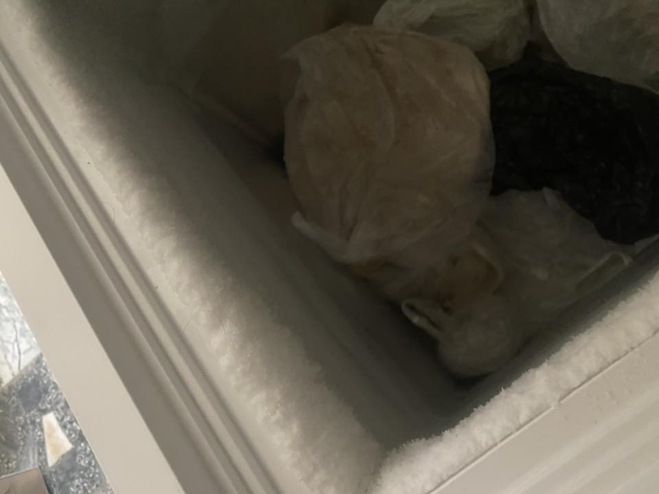 مجمده للبيع جبيره بسبب الانتقال 525 الف جديده والله العظيم

‭0784 970 3335‬
