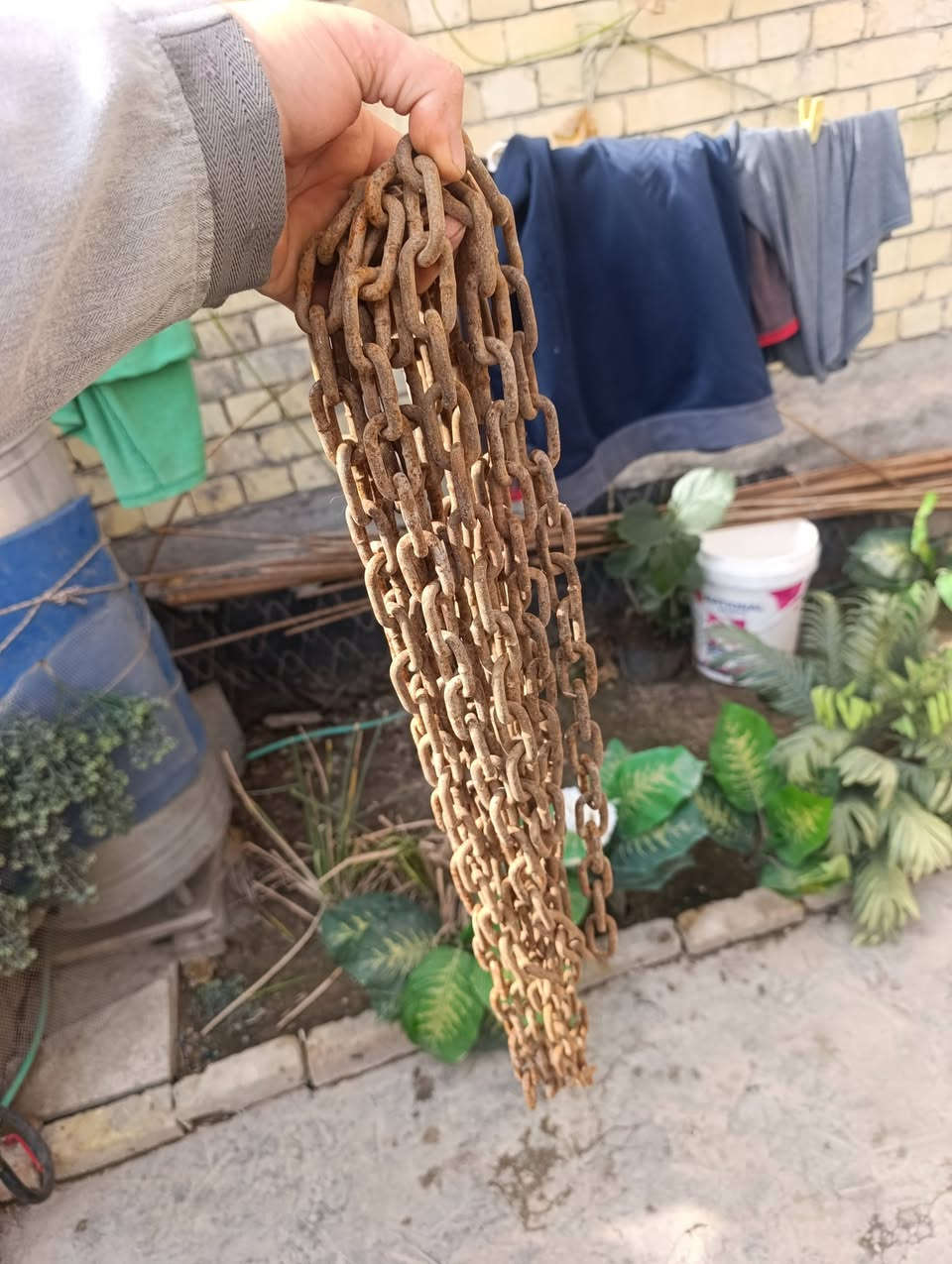 سنسله مال اول قديمه. بيهه بل8امتار مكاني بغداد حي العامل سعر 25


**إذا كنت صاحب هذا الإعلان وتريد حذفه لأي سبب، رجاءا أرسل رسالة إلى الدعم الفني**