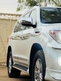 ٢٠١٣ • كفالة صبغ وضربة • قابل للنقاش