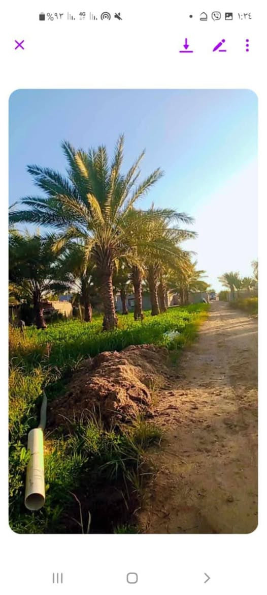 السلام وعليكم للبيع 4 دوانم  معة دار ومشتمل وحقل عجول و 3 محلات ويتوفر ماء سقي وماء أسالة صيف شتاء مكان الأرض طريق كوت بغداد سايد الذهاب ألى بغداد واسط العزيزية / ***********/ ***********
