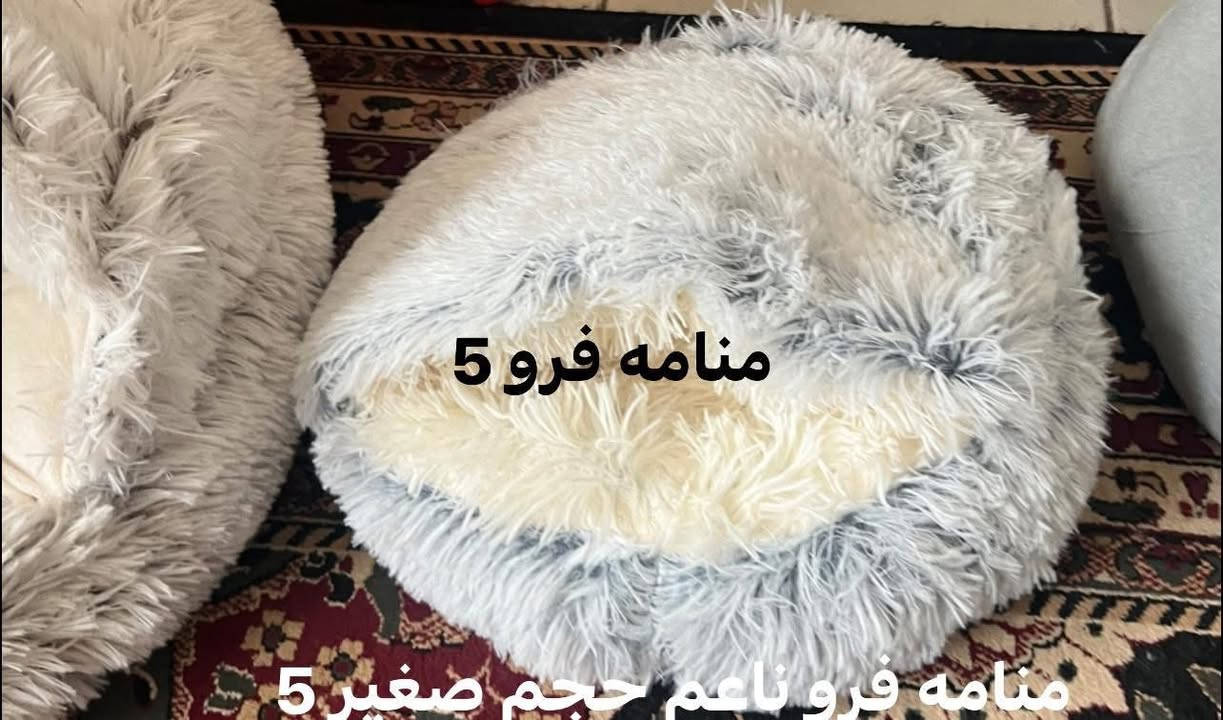 مستلزمات قطط 🐈🐈‍⬛🐾🐾


**إذا كنت صاحب هذا الإعلان وتريد حذفه لأي سبب، رجاءا أرسل رسالة إلى الدعم الفني**