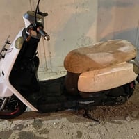 بوليسي • نضيفه • سلف وهندل