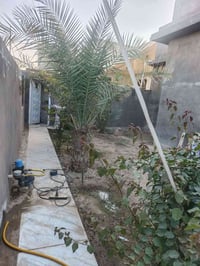 حي النداء • ٢٦٠م • حديقة