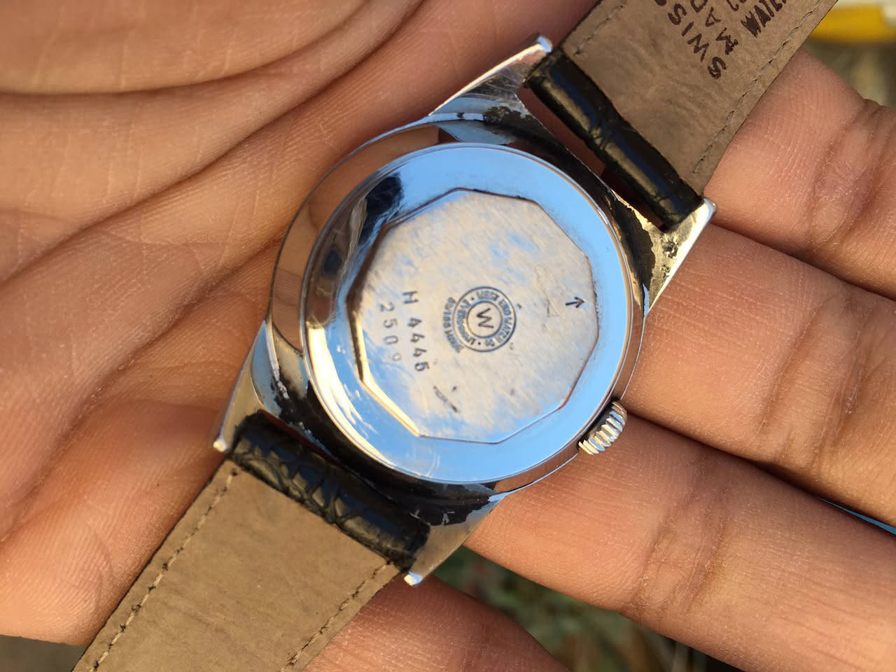 وستن سويسري اصلي فنتج نصب تكويك سعر 65


**إذا كنت صاحب هذا الإعلان وتريد حذفه لأي سبب، رجاءا أرسل رسالة إلى الدعم الفني**