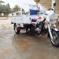 ستوته ام الطير • ١٥٠ • ٢٠٢٥