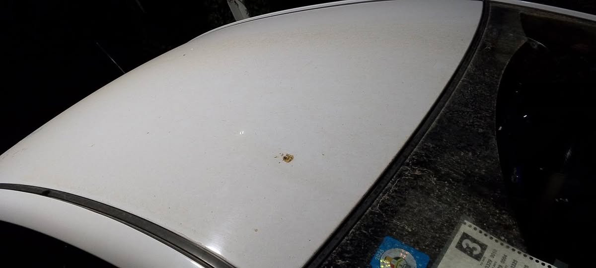 السلام عليكم الانترا مقدس مديل 11 مكينة 1600ماشية 166 صبغ جاملق اثر اشخوط السيارة كفالة تبريد وحدادية كلة كفالة رقم الهاتف.     *********** مكان السيارة بغداد
