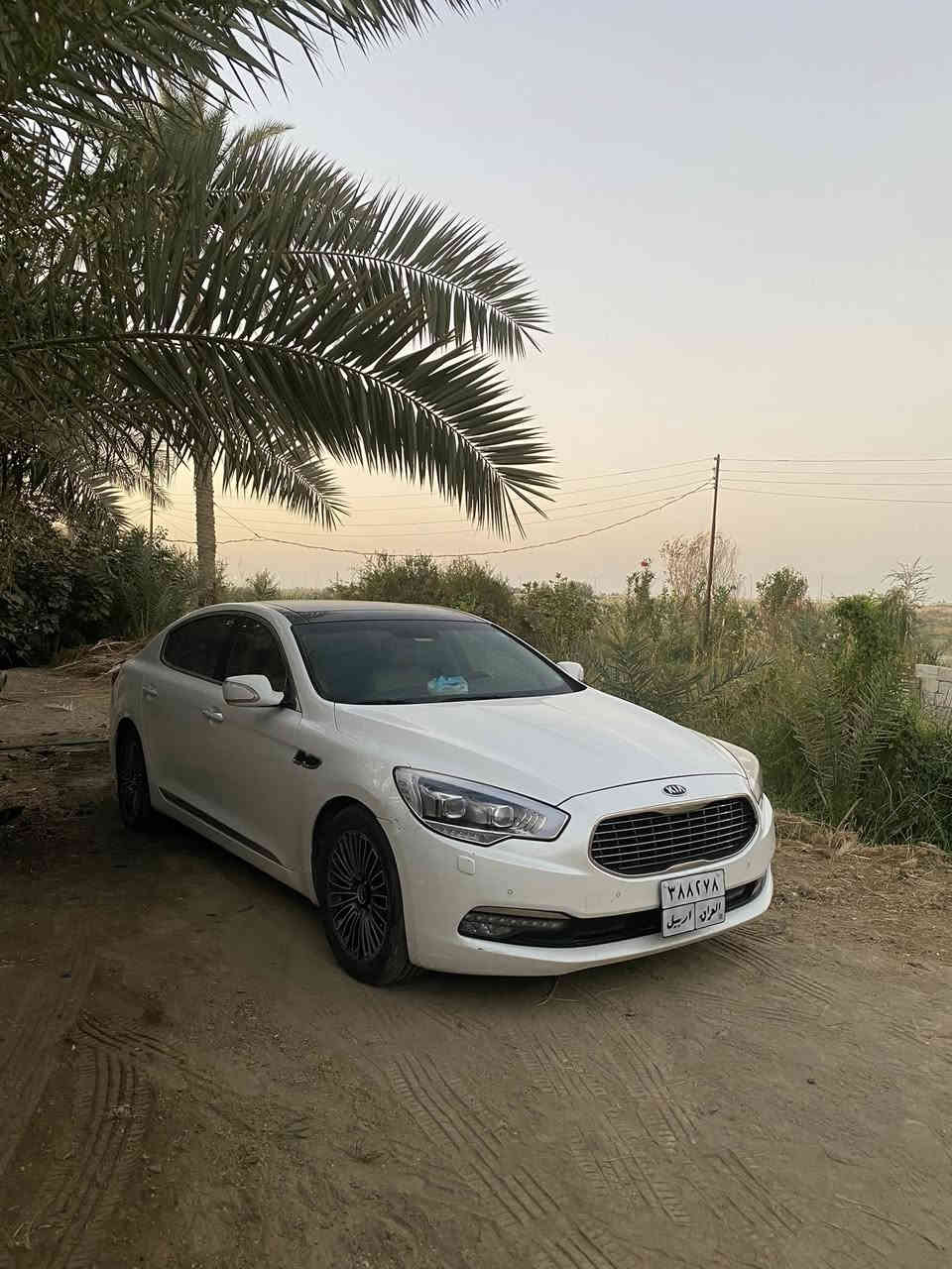 كيا كوريس 2015 وارد خليجي 
كفاله عامه مكينه V6/3800
تخم تاير جديد + باتري جديد 
ماشيه 159 
فول مواصفات للاخير 
بانوراما

حساسات خلفي امامي 
شاشه تحكم ماوس 
تحكم بالستيرن 
بدون جكات المرغوبه 
كامره خلفي 
مري ترحيب 
عتب ترحيب 
برده خلفيه +برد بالبيبان الخلفيات 
داخل جلد بيجي كهربائي 
سياره نضيفه بمعنى الكلمه وبعد بيهه هواي مواصفات كلش ما ذاكرهن  
رقم اربيل تريد وكاله تريد مداور باليعجبك 
مكاني نجف سعر $195. وبيهه مجال قليل للشراي
رقمي *********** اتصل وبخدمتك
