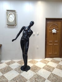 ستاندات • ملكيانات • جميع الأنواع