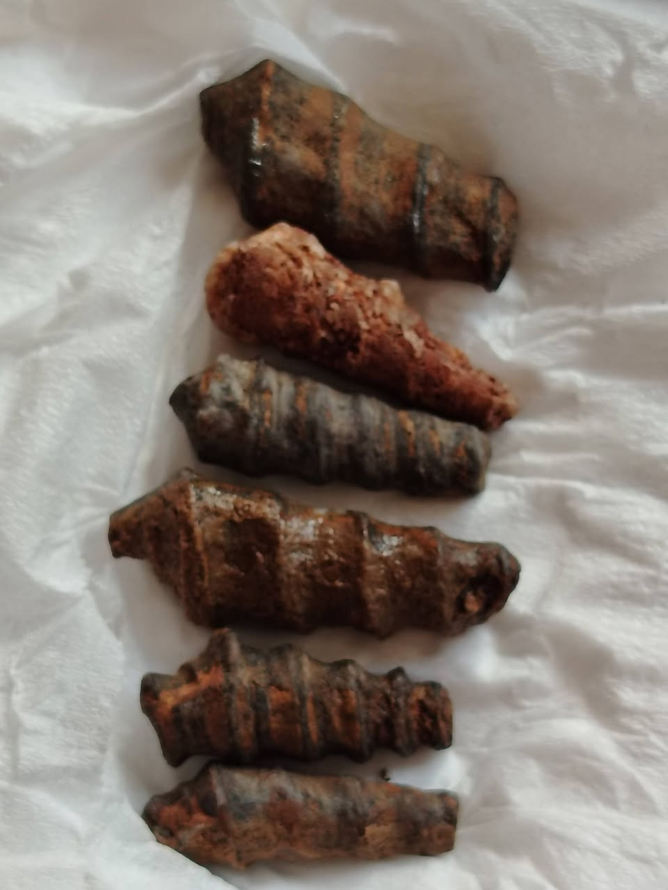 سطاني لوي نباعي اصلي ***********
