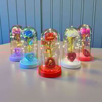 لمبة ورد داخل قبة • إضاءة LED • ناصرية