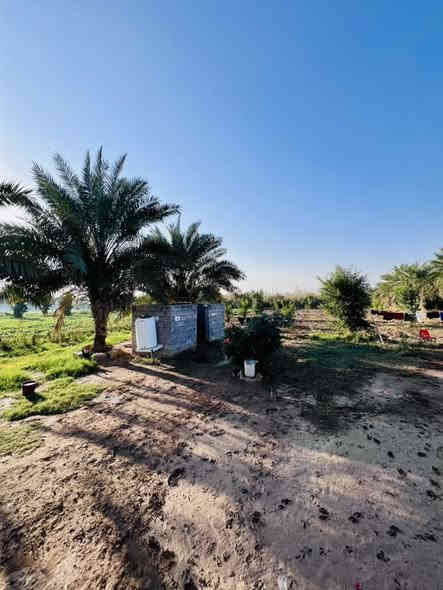 سلام عليكم 
على بركت الله ✨
ارض للبيع 
موقع ( العزيزية برينج )
مساحة (2 دونم ) وجه الارض ( 70م)
تحتوي على دار ( شكل الارض مربع )
الاستفسار مراجعة مكتب عمار احمد سلمان الشمري
التصال……
***********
***********
