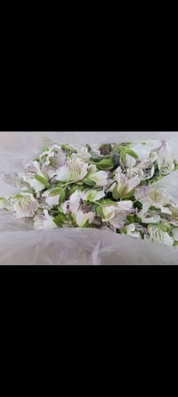 رخصة مدير الكروب • ورد كبير