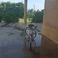 بايسكلين • صغير • كبير