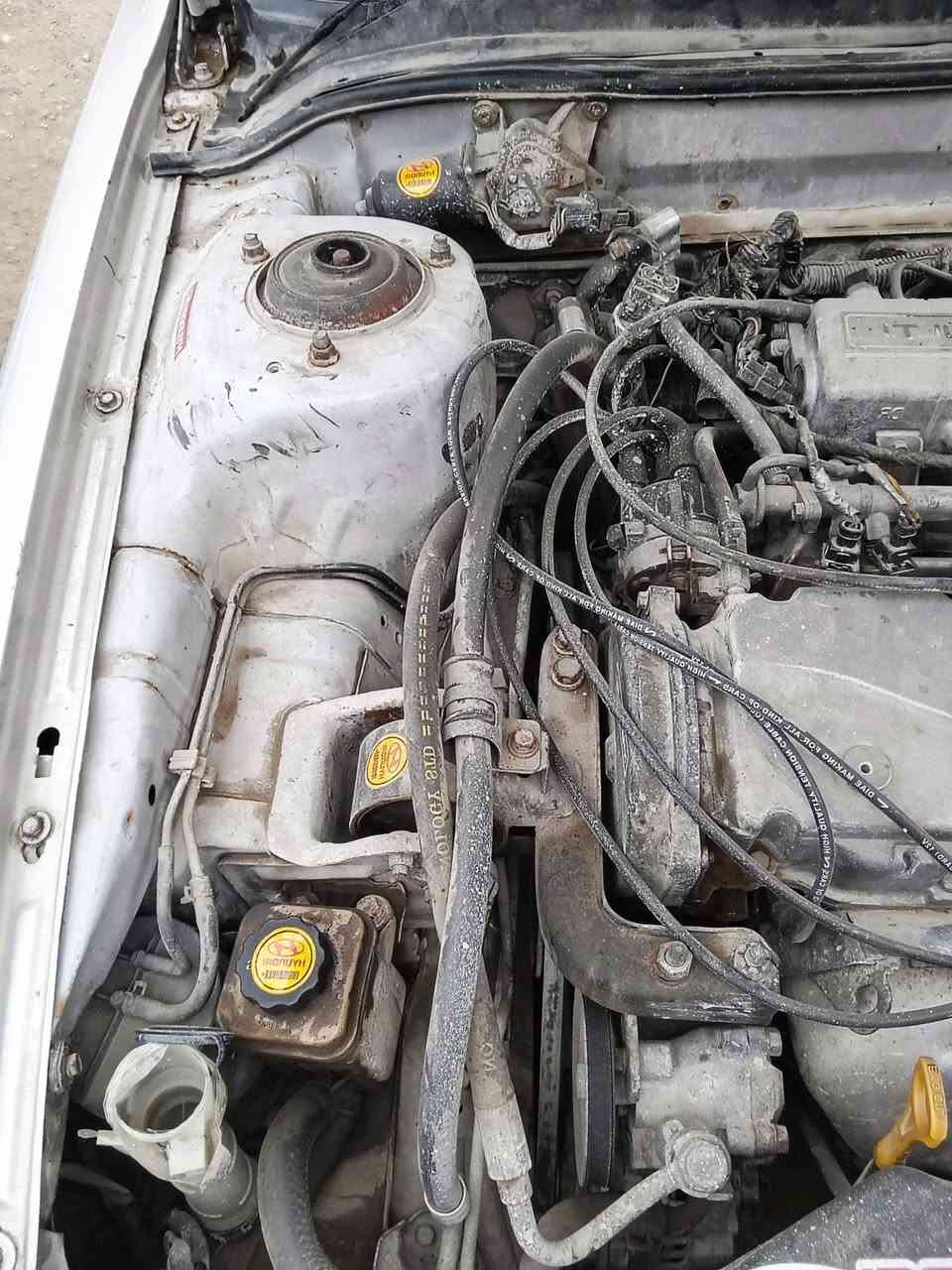 سلام عليكم
سوناتا 1996 كير اوتماتيك مكينه مفتوح مو مسكر كفاله جديد صدر أمامي خلفي جديد كهربائيات كامله كله شغال تبريد تدفئة شغاله كامل سياره بسمي رقم إنكليزي تحويل ثاني يوم سياره خير من الله مكاني ديالى بعقوبة سعر(46) ***********               

(ملاحظة كل تفاصليهه ذاكرهن لاتكلي شبيهه مابيهه)
