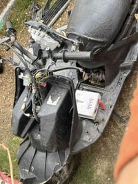 فراشة • شغالة