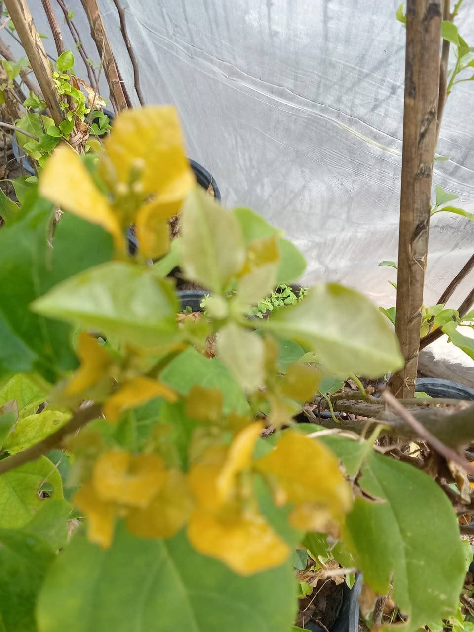 الوان الجهنمية المتوفرة حاليا
السعر ب٤
التوصيل داخل بغداد فقط 
للطلب راسلونا عالرقم التالي ***********واتساب فقط
