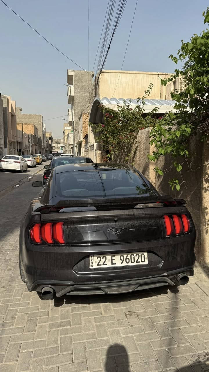 سلام عليكم
موستنك ايكو بوست 2022
عليها هواية اضافات وقطع تزويد اصلية من امريكا جتي ومرتبة 
-ماشية 39 ميل
-شوتة رياضية Airaid اصلية من امريكا
-عطاس تيربو صوتة كلش حلو هم اجة بيها من امريكا 
-داون بايب اصلي 
-عليها شباك cs
-ويل حجم 20 مال ماك وان تو سايز مال جيتي تايرات خلفية عريضة
-جناح خلفي مال شيلبي مع الإضافة 
-مسطرة خلفية صندوك مال جيتي
-محدثة دركة مال جيتي ام الشفترات 
-سقف نجوم روز رايز
رادار امامي جانبي
حادثه سطحي وخفيف جاي من فوك بدون شاصي ودواخل حتى البدنة والراديتر البلادي 
بنيد صبغ ونص جاملغ مصبوغ 
والجاملغ الثاني بارد ومصبوغ بس الحافة مالتة 
ايرباك دركة 
رقم اربيل

سعر ١٦٥$

مكانها بغداد الاعظمية او العرصات 

تواصل خاص اور رقم التلفون

***********
