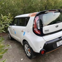 مرحبا كيا صول 16 بغدادوارد بيه قطع صبغ  بدون دواخل  لغود وشواصي وتكم  ...