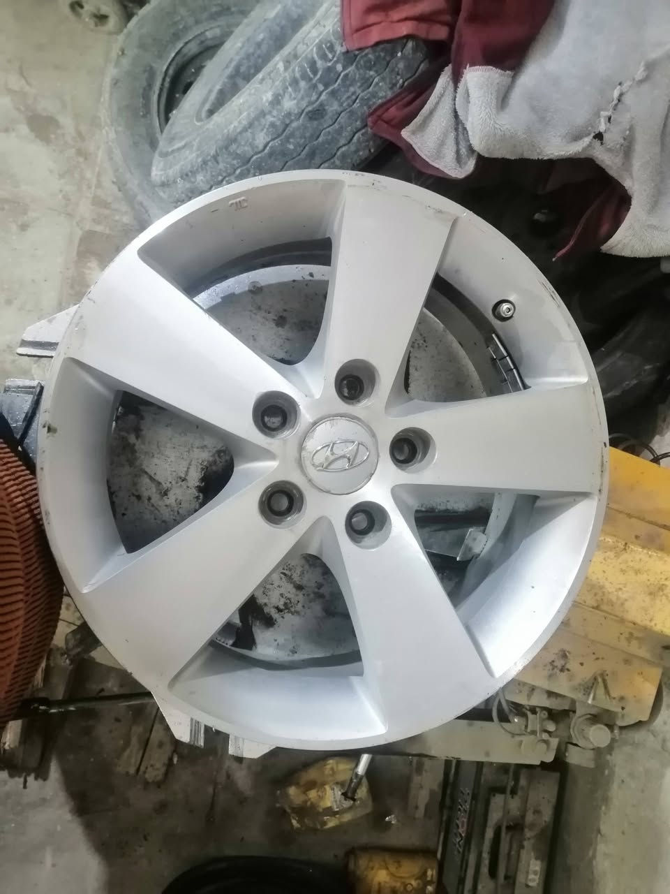 السلام عليكم شباب عندي تخم ويل مصفه الوجه مال النتره مكاني نجف ابو صخير ***********
