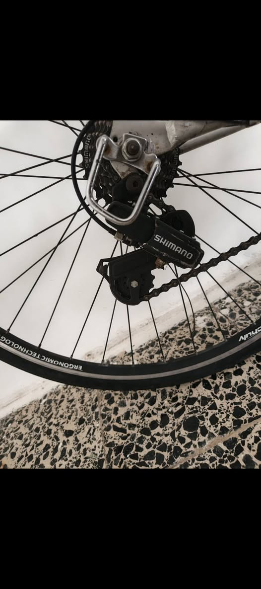 السلام عليكم
رود للبيع ماركة NEXT الايطالية نوع sprinter speed

معدن المنيوم ماشة حديد

سستم شيمانو 7*3

تايرات كتان 

بطيخات ماركة جويتك الايطالية

بريكات ماركة Pro Max

مختم بل كامل شيمانو

السعر 140 بي مجال 

متوفر توصيل جميع محافظات العراق

***********
