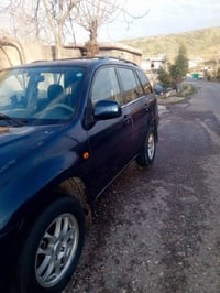 شيري تيجو • ٢٠٠٧ • ٣ صبغات