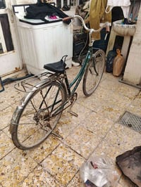 باسكل • بابل