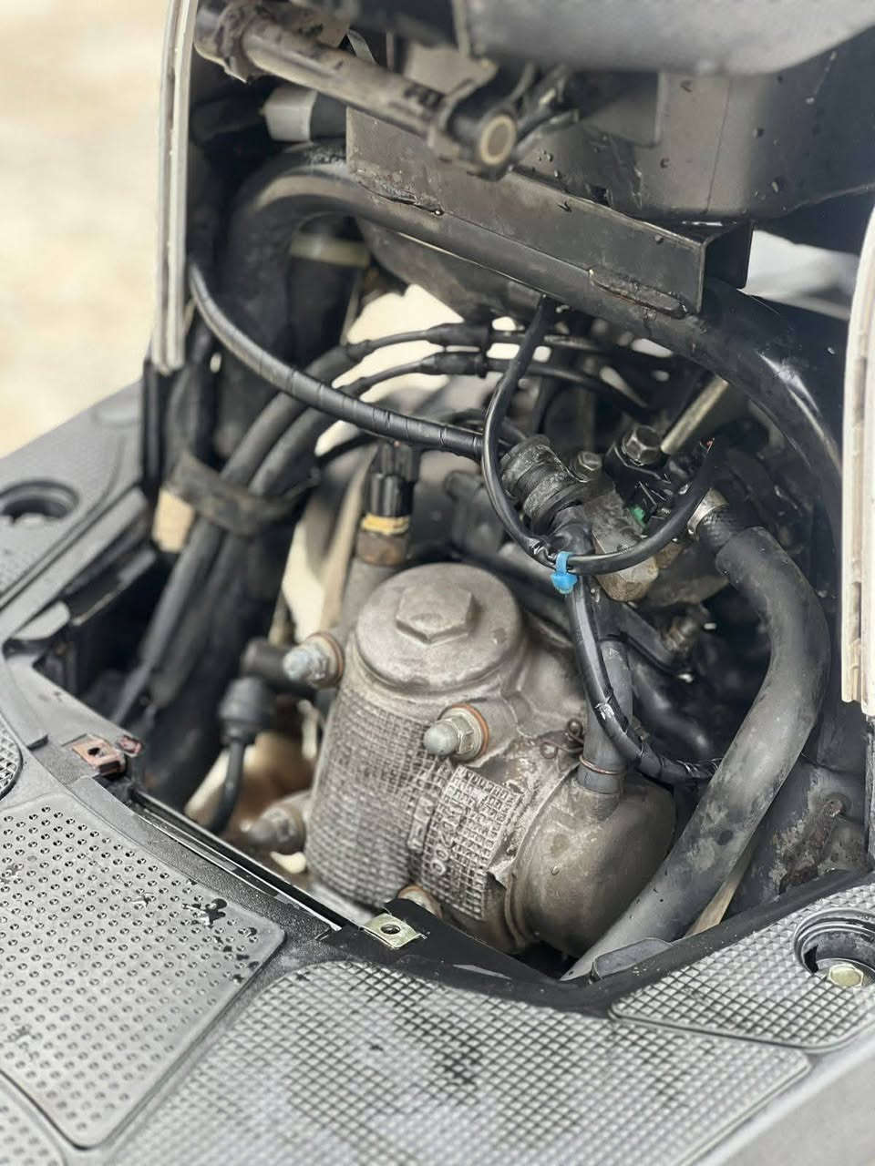 مكفوله من كلشي ***********
