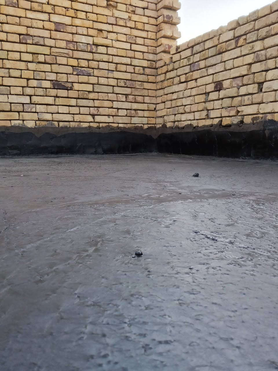 ونج تصعيد لكافت مواد البناء مع قلع شتايكر
تنضيف سطوح تزفيت... تسليط تراب
اتصال عله الرقم ***********
يوجد واتساب أو مراسلت حساب
مكان ناصريه__غراف__شطره
