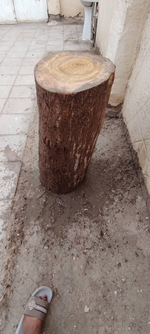 السلام خشبه كصابه للبيع مرتبه قيم بليرضي بي لله واخذ المكان ناحيه القادسيه ***********
