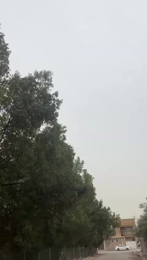 📢📢📢📢📢📢📢📢📢سلام عليكم...للبيع
دراجه شحن ⛔ R900⛔
⛽مديل 2025⛽
🌡️ثلاث سرع🌡️
🦅حجم الكبير🦅
 وشاشه تحديد عطل
🦩 وبيه نضام البك🦩
🎍 دبلات هيدروليك مو العادي🎍
مفتاحين 
  بصميتن 
 🚨خمس بطاريات دبل 🚨
         🧷جهاز انذار🧷
كلوب ول هورن ما يشتغلن بس 
السعر 475 
***********
