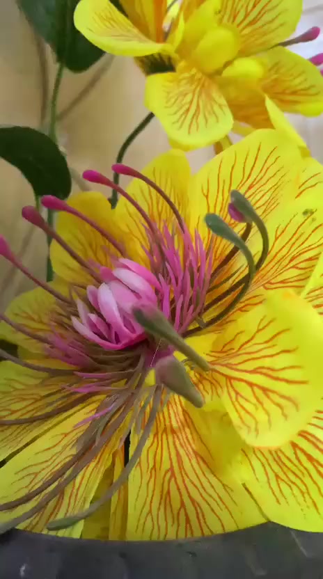 غرفه عراقي لبيع نضافه فول السعر مليون و٦٥٠ بي مجال ***********
