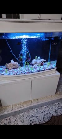 نحاسي • زجاج ٨ملم • ١١٥×٨٠سم