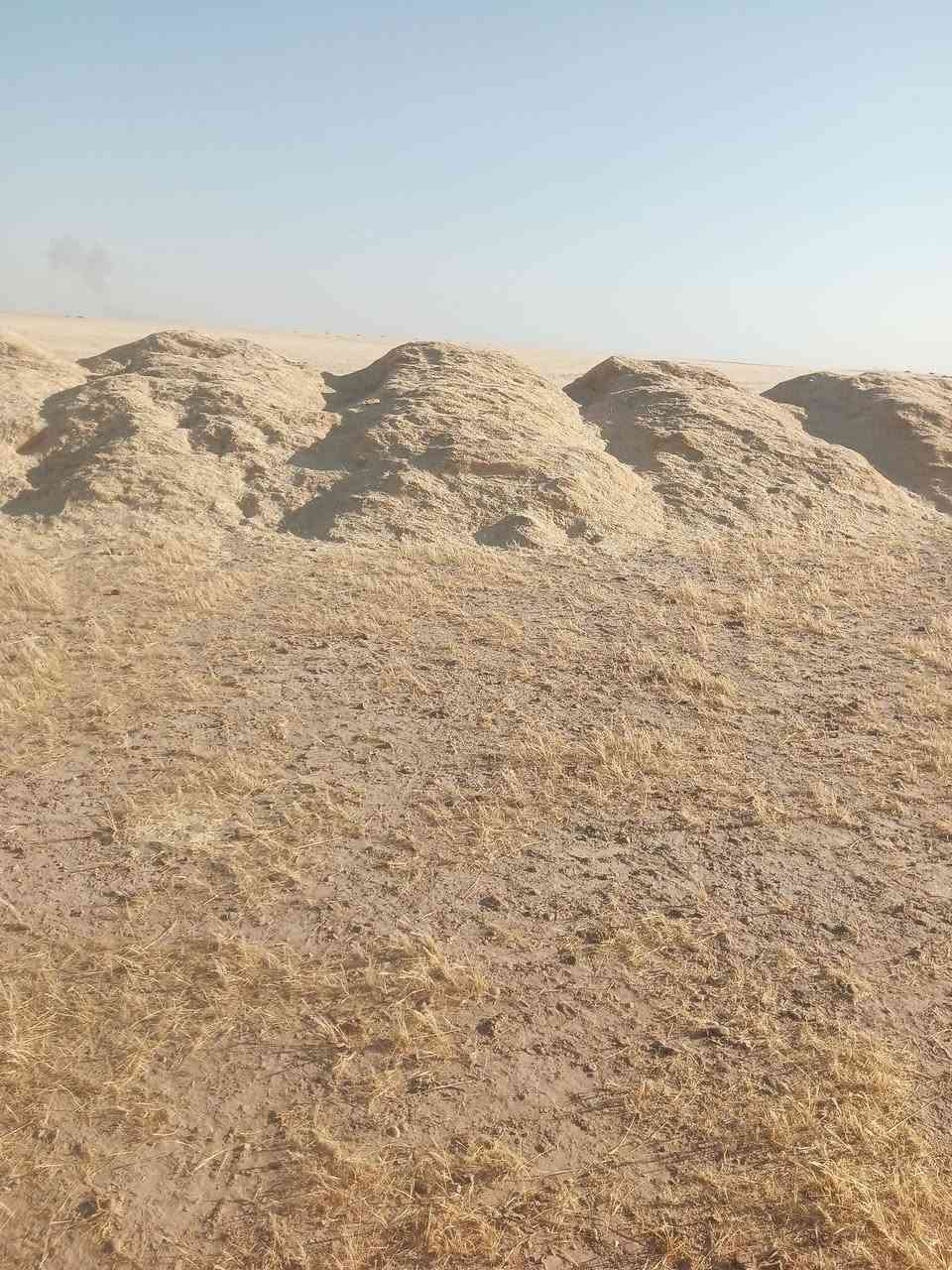 سلام عليكم يوجد تبن للبيع راس كوم مكان صلاح الدين سعر العربانه 85 صواصل على رقم ***********.   ***********
