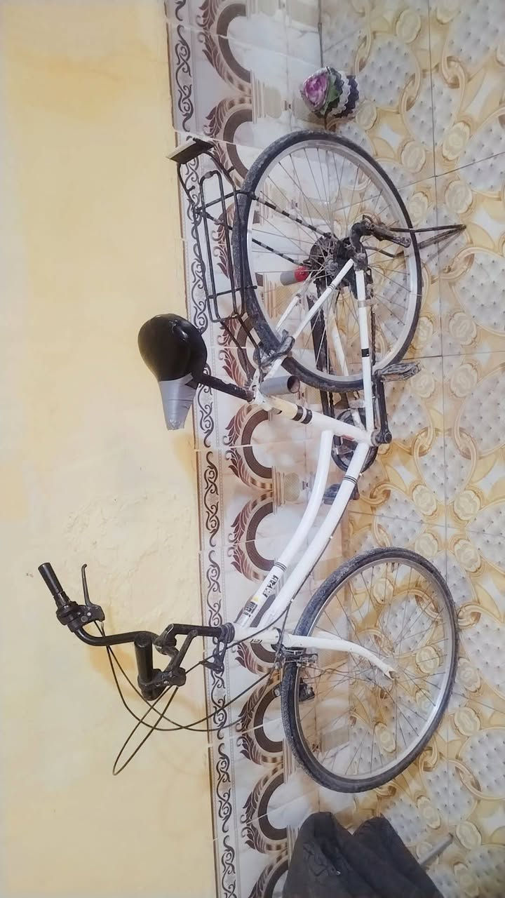 السلام عليكم باسكل بناتي حجم 26 بلاد للبيع السعر 40 الاستفسار عله رقـم *********** مكان كوت الحسنيه
