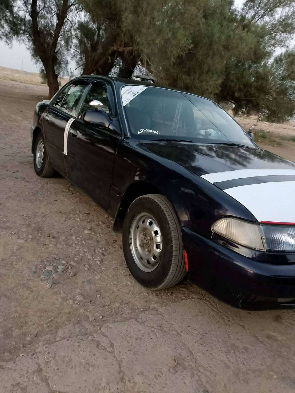 للبيع ترهم مراوس ليحب يتصل ***********
