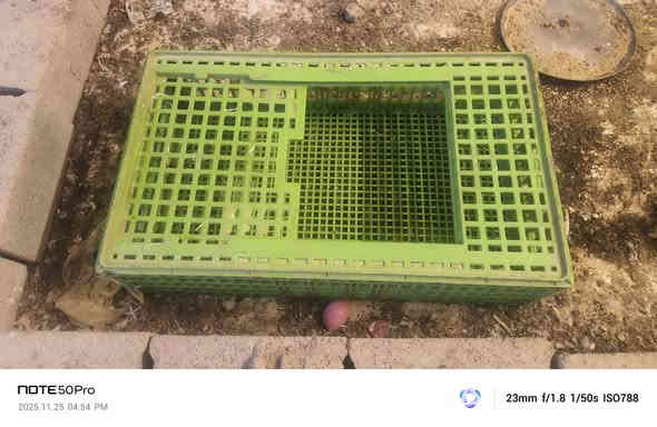 أقفاص دجاج للبيع
***********
