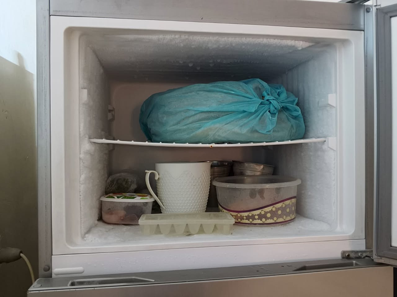 ثلاجه حجم ٢٤نضيفه مال بيت نوعيه فستل


**إذا كنت صاحب هذا الإعلان وتريد حذفه لأي سبب، رجاءا أرسل رسالة إلى الدعم الفني**