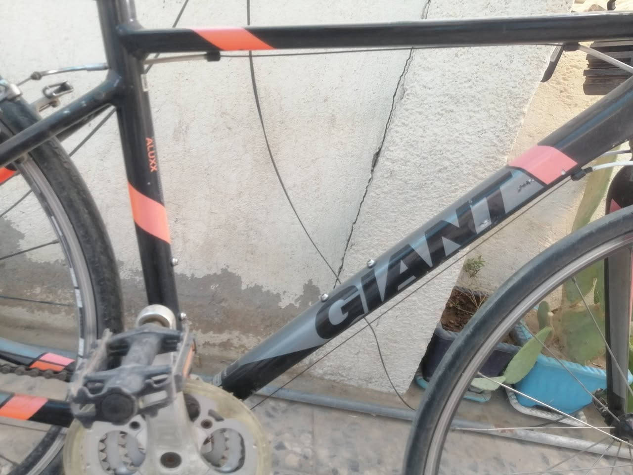 جاينت c700
حديث خليط المنيوم كاربون
دراجه خفيفه وزن كله شغاله سستم شيمانو
200 الف
مكاني بغداد


**إذا كنت صاحب هذا الإعلان وتريد حذفه لأي سبب، رجاءا أرسل رسالة إلى الدعم الفني**