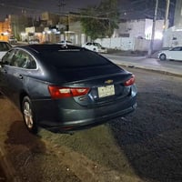 ماليبو • ٢٠٢١ • رقم بابل