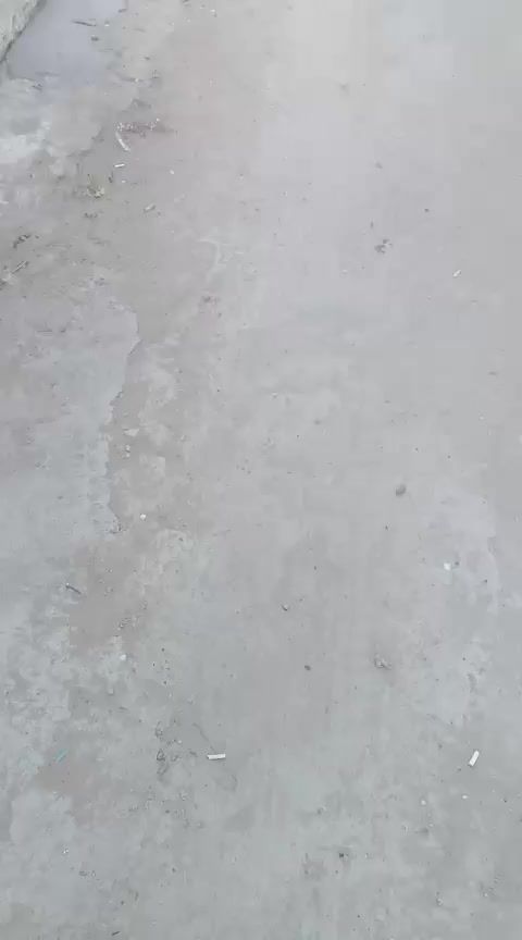 بيت ملك صرف  سند 25 قرب مصنع المنصور نزال علي صليبي للاستفسار  الاتصال  على الرقم  ***********
