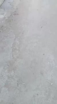 بيت ملك صرف  سند 25 قرب مصنع المنصور نزال علي صليبي للاستفسار  الاتصال...