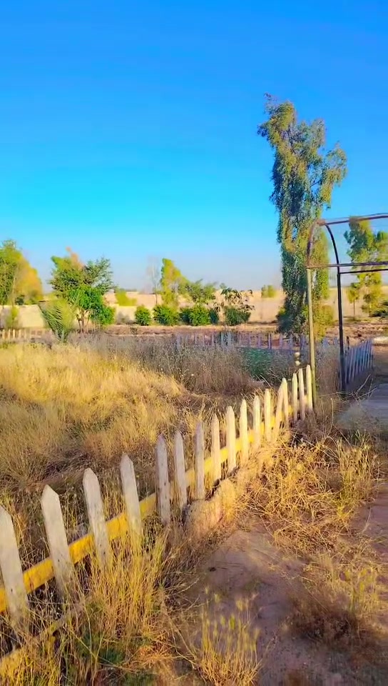 اعلان   مزرعه للبيع   طابو زراعي
    مساحه  دونم واحد   قرب قربه ساده رجيبات
          للاستفسار الاتصال على
           *********** واتس اب
