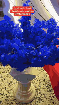 سلام عليكم كوشة  أم جناح وشازلونة وطبلة للبيع ‘…غراضالميز والمسرح موللبيع فقط الخلفيات وشازلونة والميز للبيع رايدهن٤٥٠مكاني بغداد حي النصر الشراي يتصل ***********
