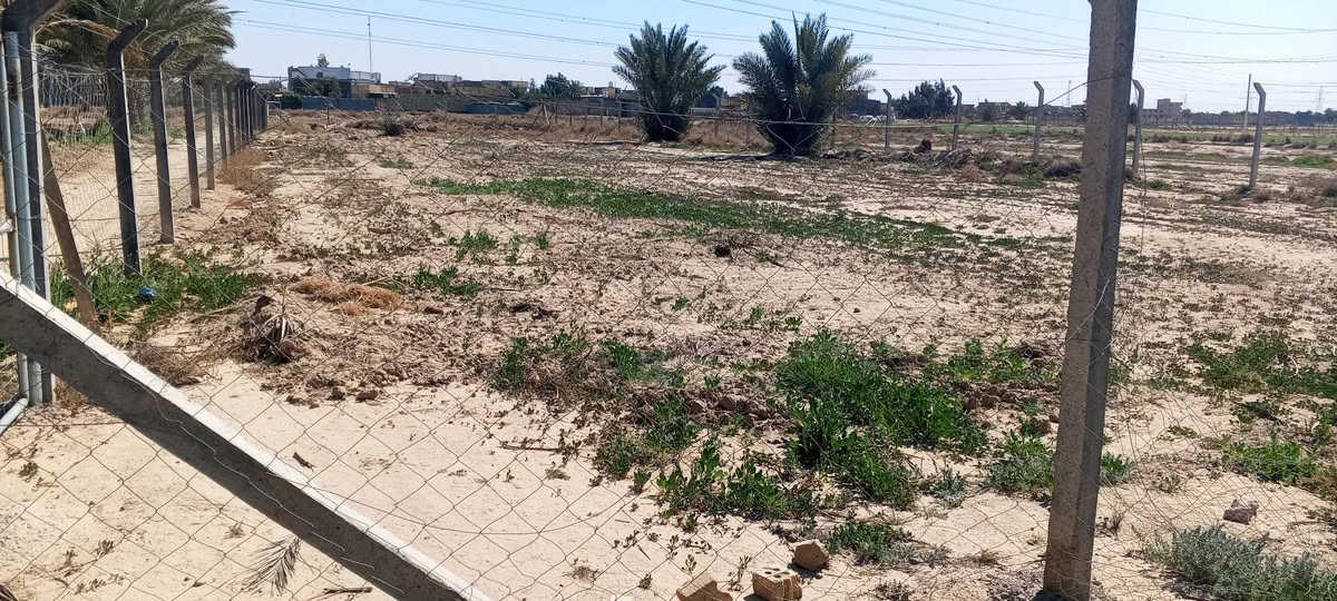 سلام عليكم قطعه ارض للبيع 
المساحه 500 متر واجهة 25 ونزال 20
سند طابو زراعي 25 تحويل مباشر 
الموقع قرب شريفه بنت الحسن 
السعر 65 . اي استفسار مراسله الصفحه او الاتصال ***********
