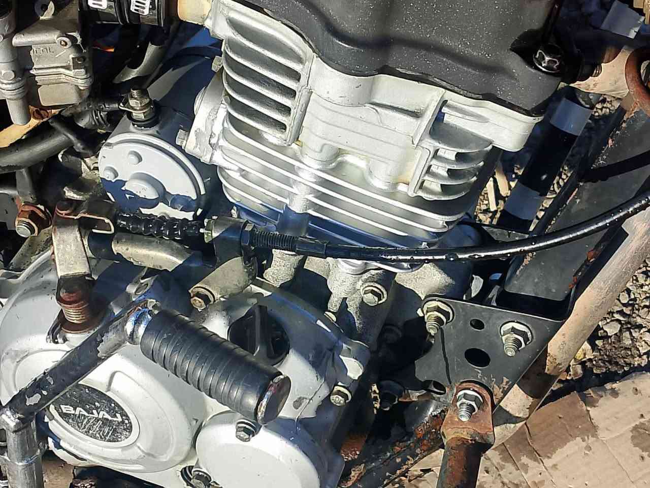 للبيع بوكسر 18اصولي سعر575 الخالص_هبهب ***********
