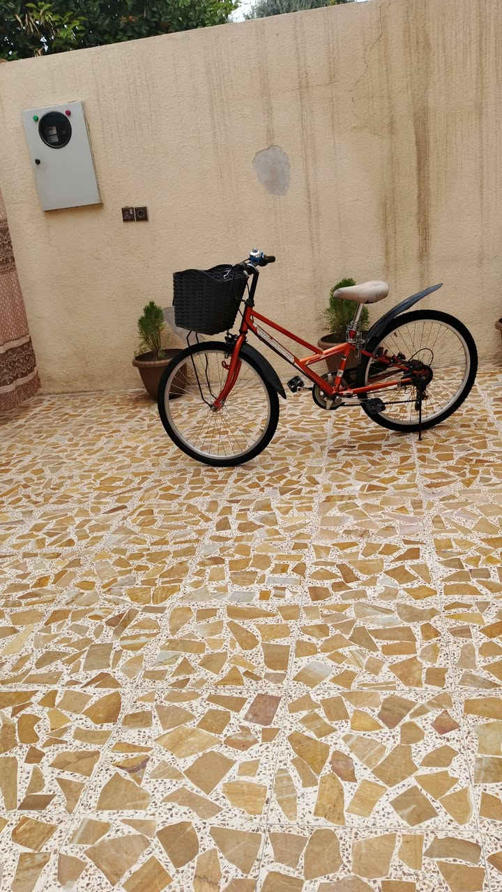 باسكل للبيع 
حجم 24 
جاهز نفس ما بل صوره
السعر /80 وبي مجال


**إذا كنت صاحب هذا الإعلان وتريد حذفه لأي سبب، رجاءا أرسل رسالة إلى الدعم الفني**