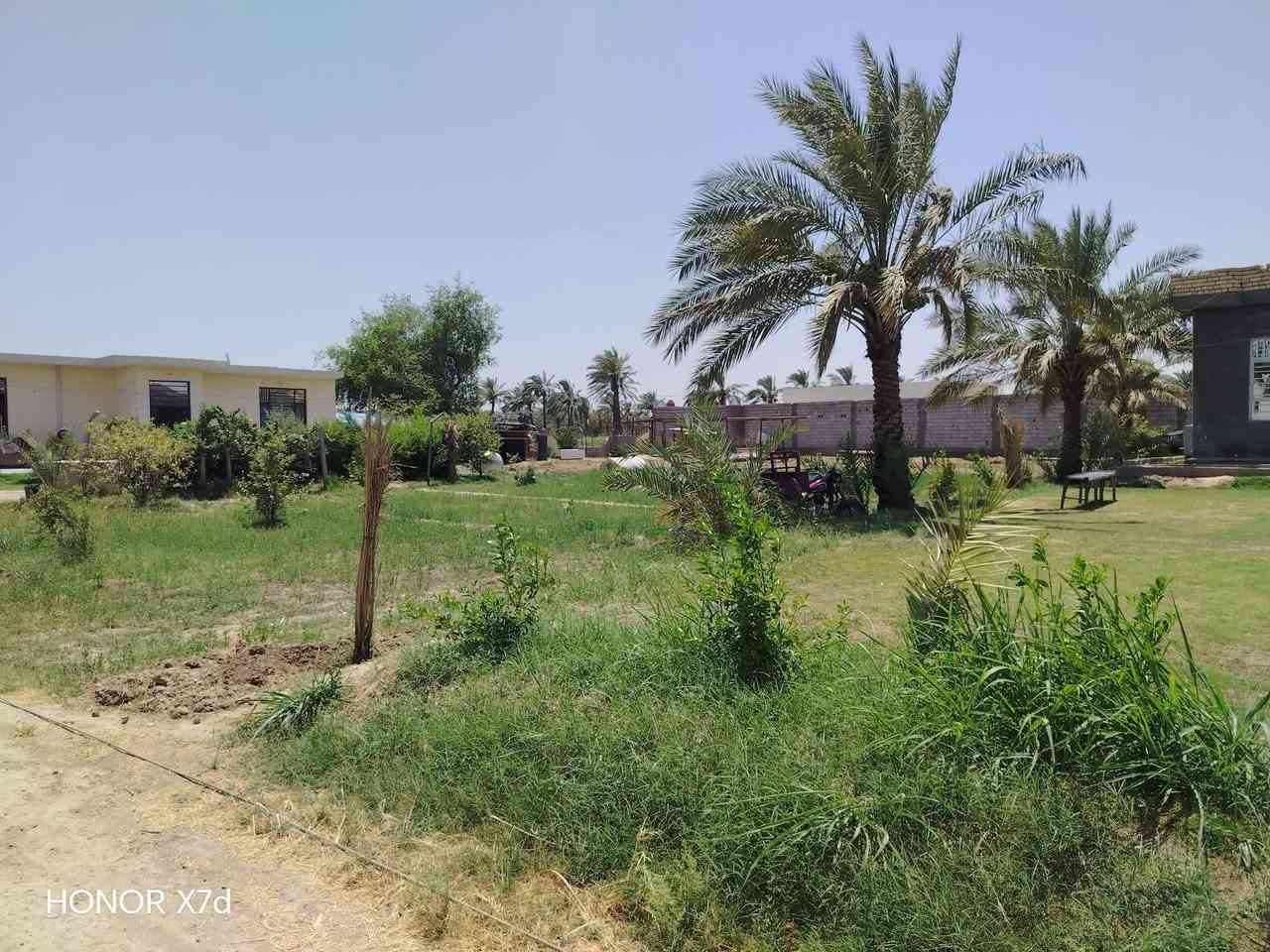 السلام عليكم ورحمة الله
يوجد لدينا ارض مساحة 3530م طابو ملك صرف يتحول سند مستقل باسم المشتري مشيد عليه ثلاث بيوت حديثه مع كافة الخدمات ماء تبليط كهرباء العنوان المدائن سلمان باك مدخل  التجاره مدخل باوي للاستفسار اكثر الاتصال علئ الرقم التالي ***********
