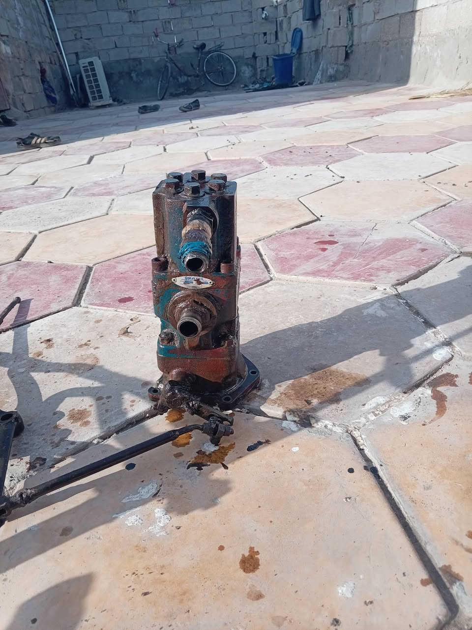 خنزيره  للبيع  هي والكاك  مثلث  ***********
