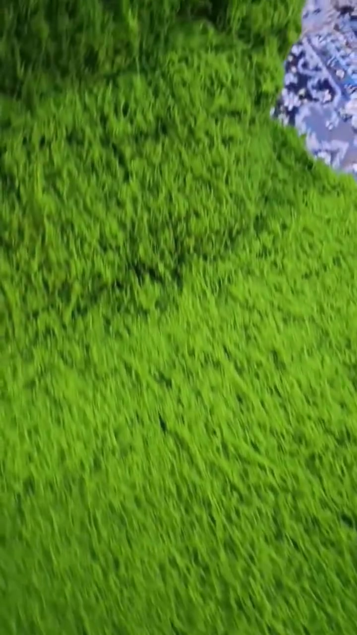 جماعة الدايورما والديكورات ٢م في ١م


**إذا كنت صاحب هذا الإعلان وتريد حذفه لأي سبب، رجاءا أرسل رسالة إلى الدعم الفني**